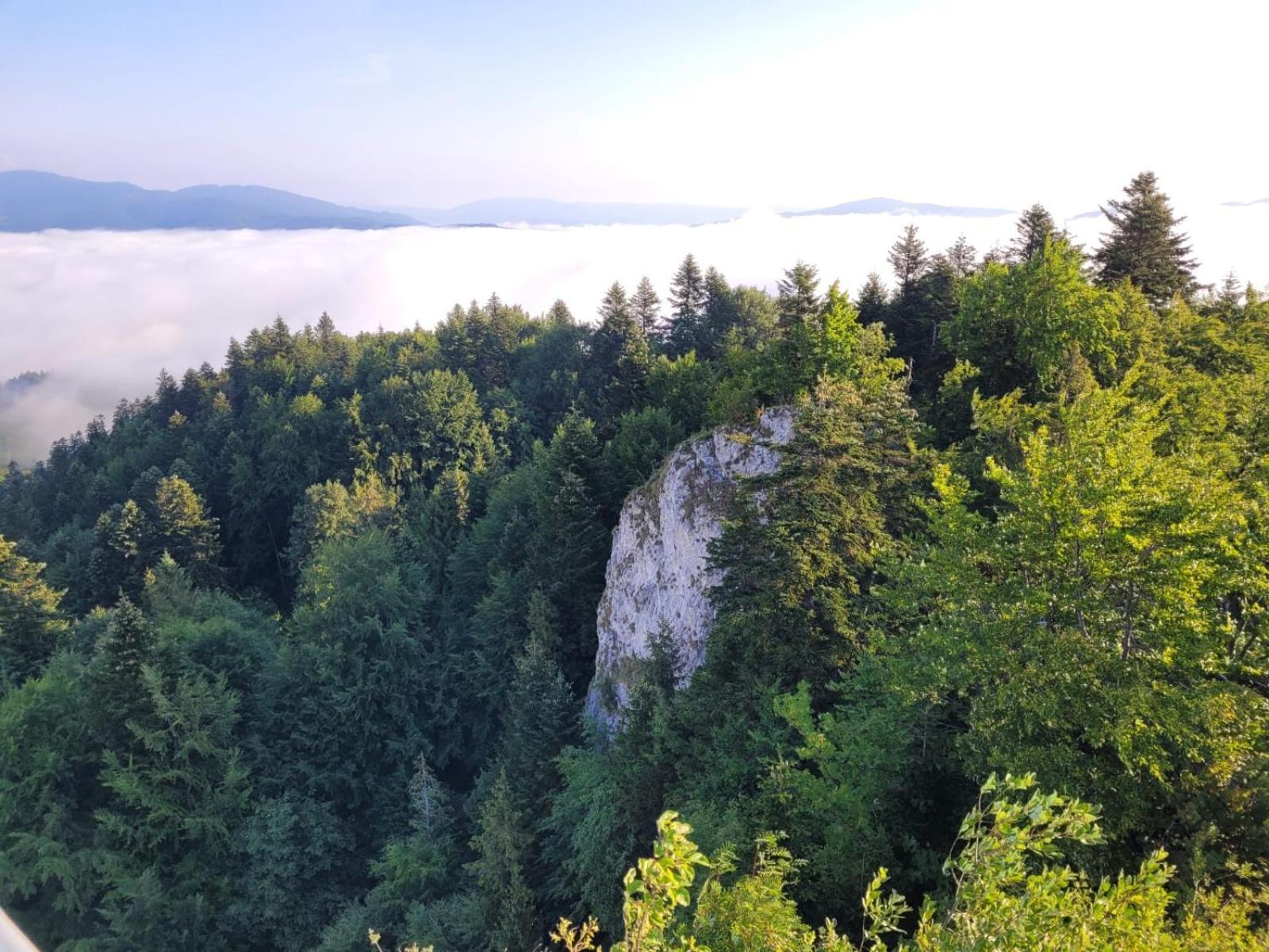 Вилла Szczytowisko Grywald Экстерьер фото